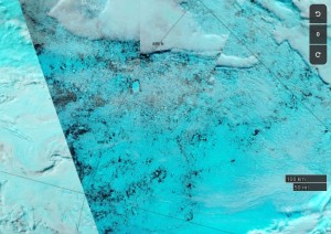 NASA Worldview “false-color” image of the Central Arctic north of the Beaufort Sea on August 18th 2017, derived from the MODIS sensor on the Terra satellite