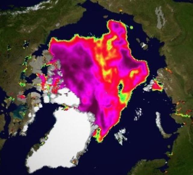 Cryosphere Today Arctic sea ice concentration on August 25th 2013