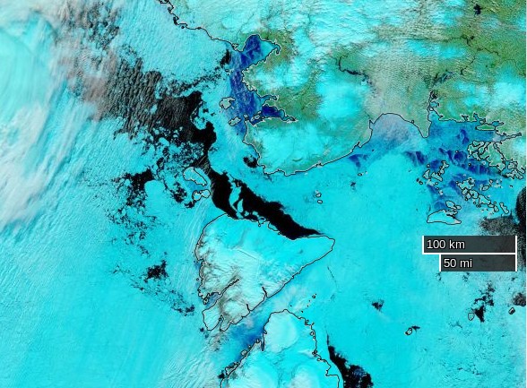 NASA Worldview “false-color” image of the Vilkitsky Strait on June 23rd 2016, derived from the VIIRS sensor on the Suomi satellite