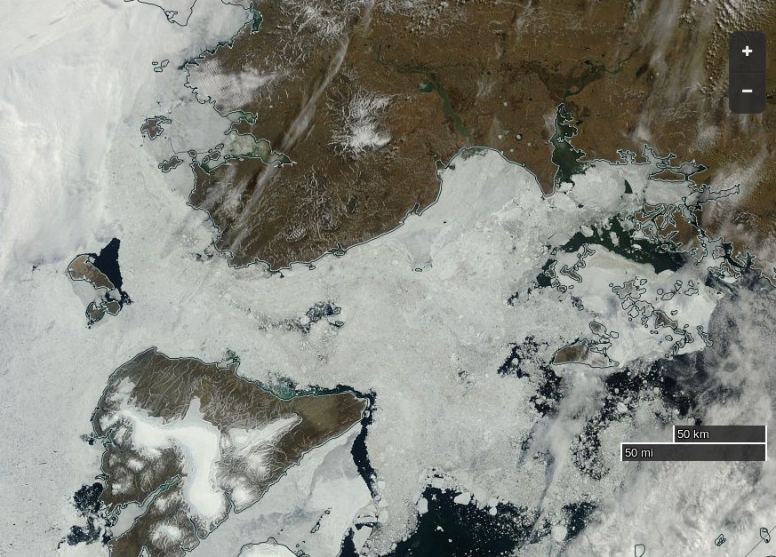 NASA Worldview “true-color” image of the Vilkitsky Strait on July 20th 2016, derived from the MODIS sensor on the Terra satellite