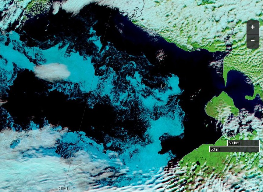 NASA Worldview “false-color” image of the south-western Laptev Sea on August 16th 2016, derived from the MODIS sensor on the Terra satellite