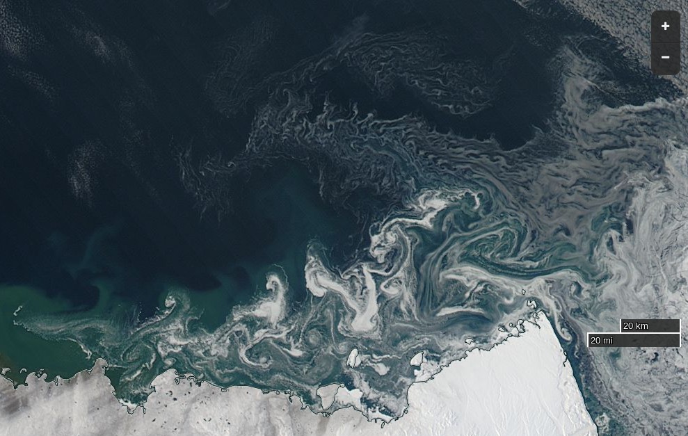 NASA Worldview “true-color” image of the McClure Strait on October 1st 2016, derived from the MODIS sensor on the Aqua satellite