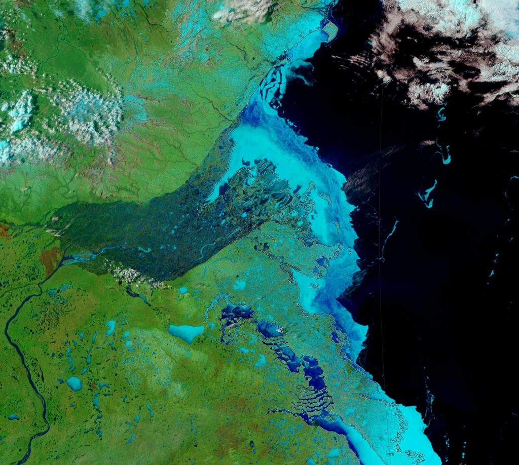 NASA Worldview “false-color” image of the Mackenzie Delta on May 24th 2019, derived from the MODIS sensor on the Terra satellite