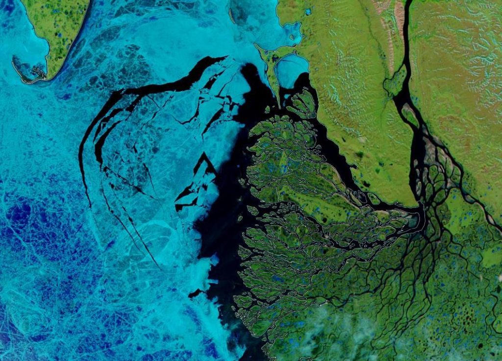 NASA Worldview “false-color” image of the Laptev Sea on June 19th 2019, derived from the MODIS sensor on the Aqua satellite