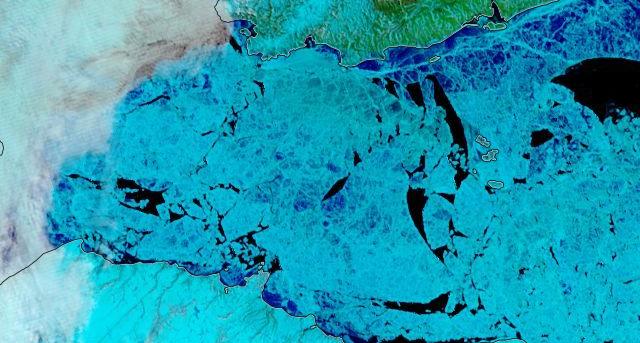 NASA Worldview “false-color” image of the Vilkitsky Strait on June 22nd 2019, derived from the MODIS sensor on the Terra satellite