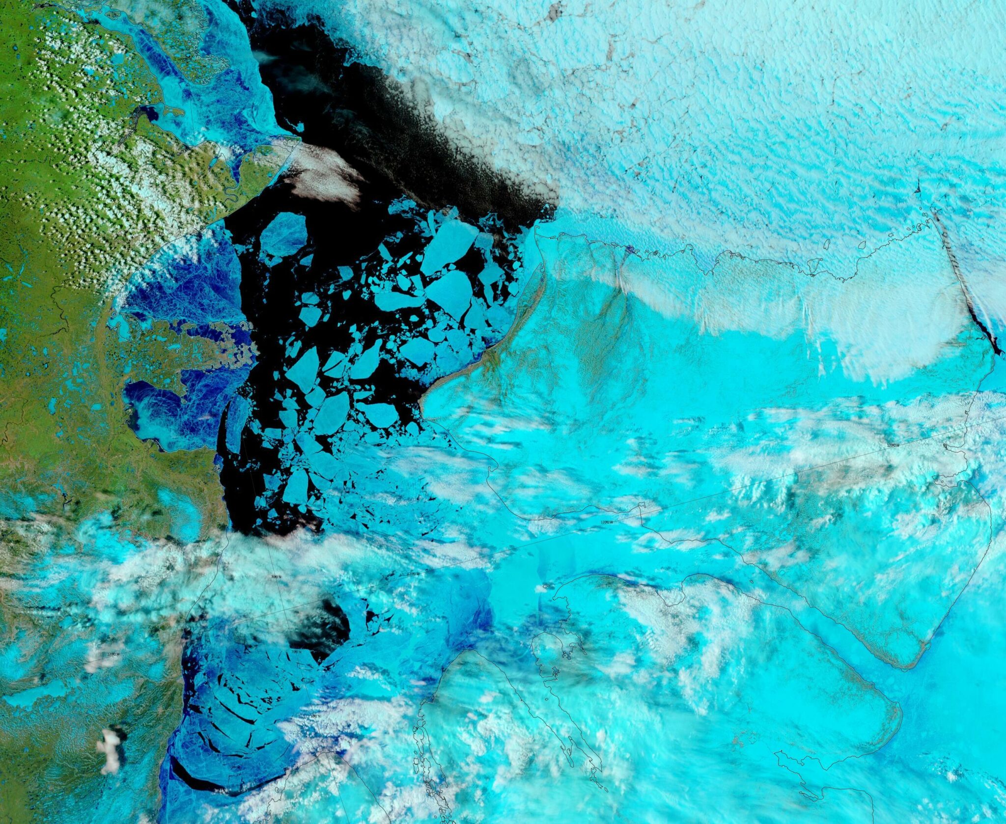 Blog | The Great White Con | Putting The Arctic Sea Ice Record Straight